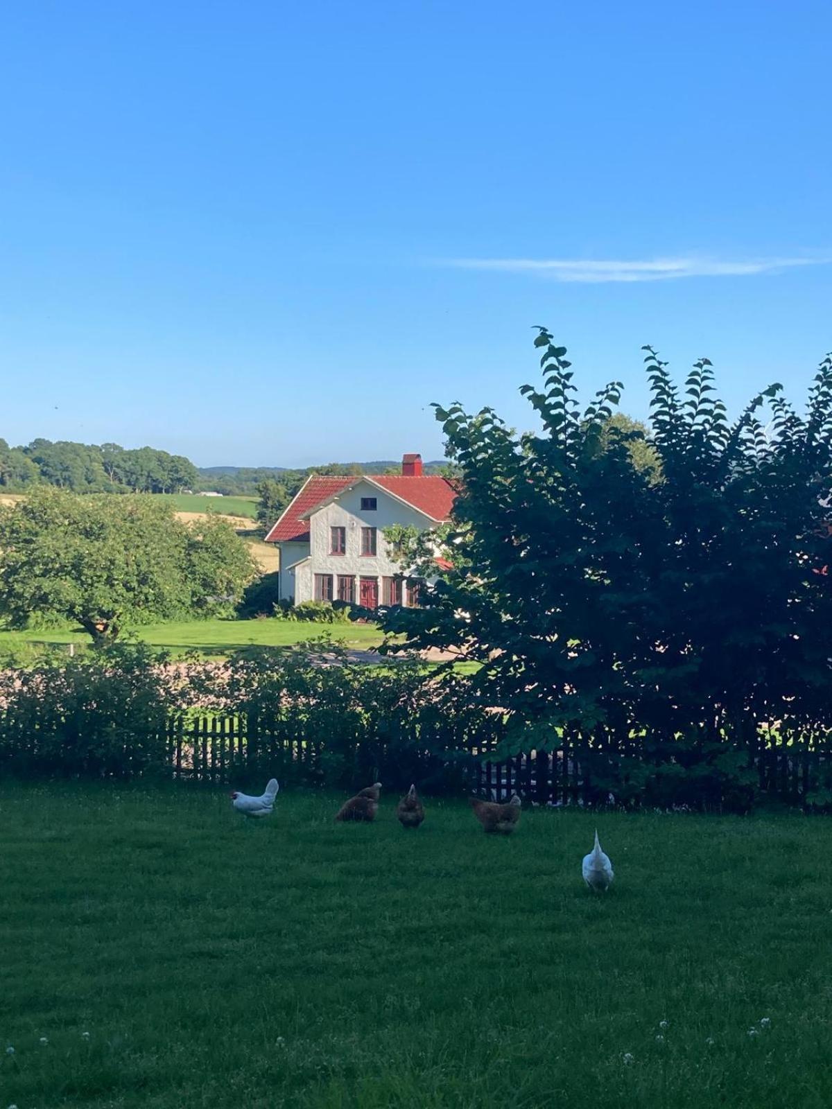 Magnoliabackens Bed And Breakfast Ullared Eksteriør billede